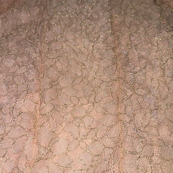 Mac Duggal A79341 Appliqué Sleeveless Plunge Neck Trumpet Blush Gown. Size 2. 17 - Picture 14 of 15